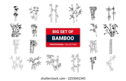 Set of cards with bamboo trees hand drawn with ink on white background.