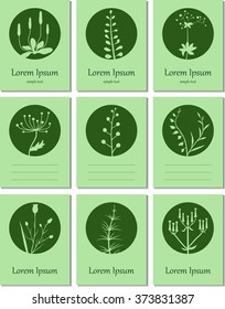 A set of cards with blanks for text. Bright green card with floral elements.
