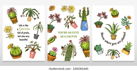 Set of cards cactus and cute template Succulents. Stickers for girls. Mexican houseplants posters. kawaii cacti. engraved hand drawn. vector collection vintage style.