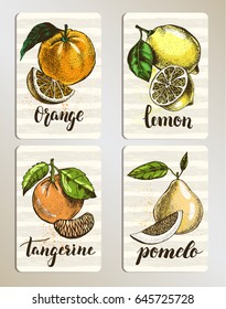 Set of cards with citrus fruits. Posters with hand drawn elements and brush calligraphy style lettering. Label or signboard template, vector illustration.