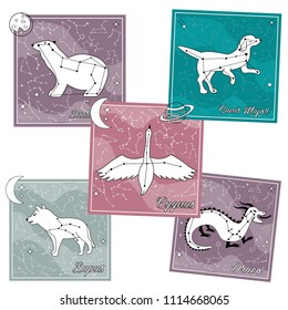 Set of cards with constellations. Little dipper, Cygnus, Lupus, Canis Major, Dragon