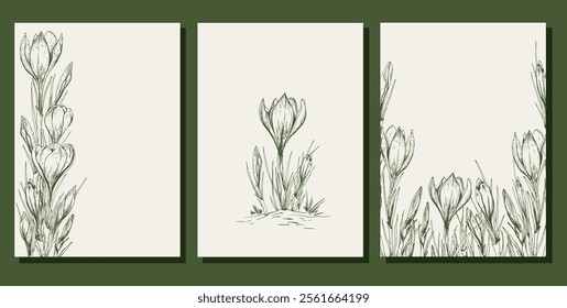 Set of cards with crocus flowers. Hand drawn line art vector illustration.