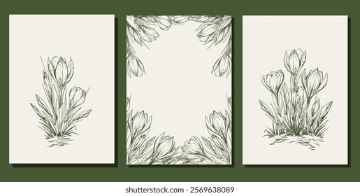 Set of cards with crocus flowers. Hand drawn line art vector illustration.