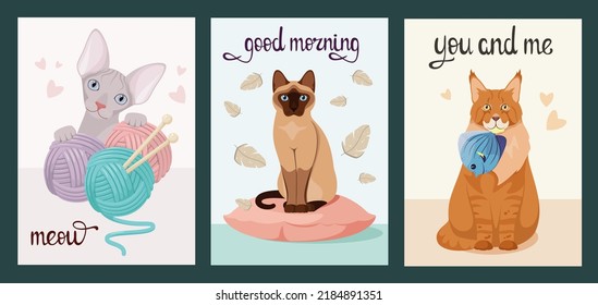 A set of cards with cute cats. Cartoon design.
