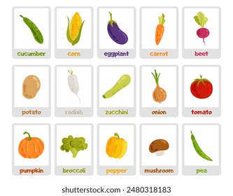 
Un juego de cartas con ilustraciones de vegetales y sus nombres. Verduras en estilo plano sobre un fondo blanco. Tarjetas educativas para niños.