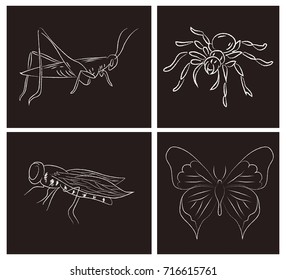 Set of cards with insects. Hand drawn sketch. Doodle. 