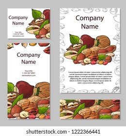 Set of cards with nuts and seeds. Pistachios, brasil nuts, pecan, hazelnut, nutmeg, cashew, macadamia, walnut almont and etc Vector illustration