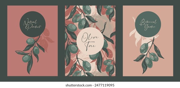 Set of cards for olive trees, can be used for natural products shop or botanical garden, sketch style vector illustration