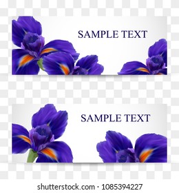 A set of cards or postcards with realistic iris flowers