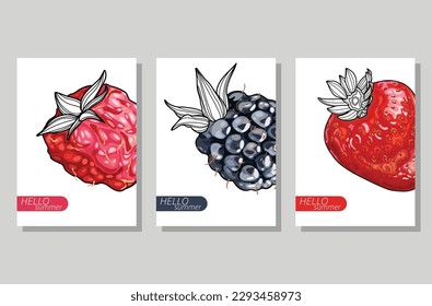 Establece las cartas con bayas estilizadas sobre un fondo blanco. Frambuesa de verano madura, mora negra, fresa. Objeto, pegatina, logotipo, emblema, impresión, tarjeta, material publicitario. Ilustración vectorial.