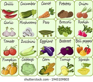 Set of cards with vegetables.Colored set of cards with vegetables and text in vector illustration.