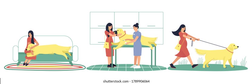 Set with a caring hostess and her sick Labrador dog. The dog got sick. The owner took her pet to the clinic. A woman is walking her healthy dog. Flat vector illustration.