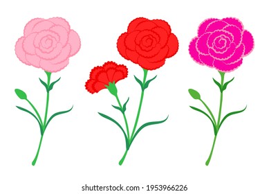 conjunto de flores de clavel flor ilustración vectorial, colección para el Día de la Madre