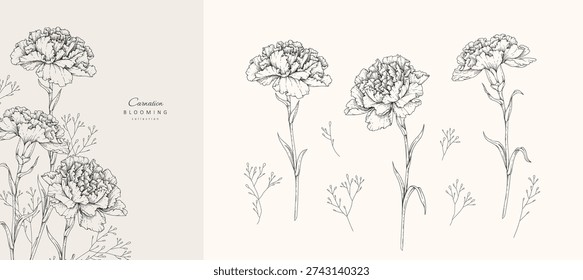 Set carnation flowers 