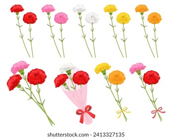Set of carnation vector illustrations