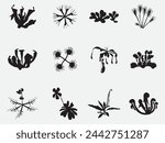 set of carnivorous plants silhouette vector illustration isolated on white background.Set of vector botanical decorative elements in black and white