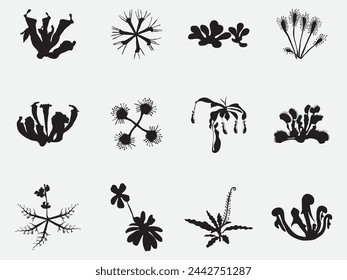 set of carnivorous plants silhouette vector illustration isolated on white background.Set of vector botanical decorative elements in black and white