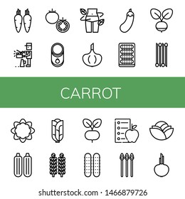 Set of carrot icons such as Carrot, Producer, Tomato, Diet, Garlic, Eggplant, Cucumber, Radish, Onion, Cauliflower, Zucchini, Cabbage, Brussels sprouts, Asparagus , carrot