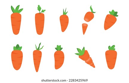 Set of Carrot illustration with flat design cute illustratioon, slice carrot and all kinds of carrots