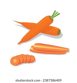 Set of carrot illustration flat vector on white background: Whole carrots, carrot slices. Root vegetables. Hand drawn. Cartoon style.