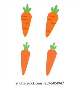 Set Carrot ornament vector illustration Vegetarian and healthy food