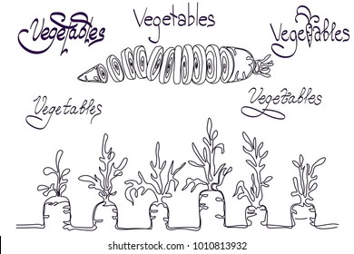 Set with carrot and text. There are 5 variants of text