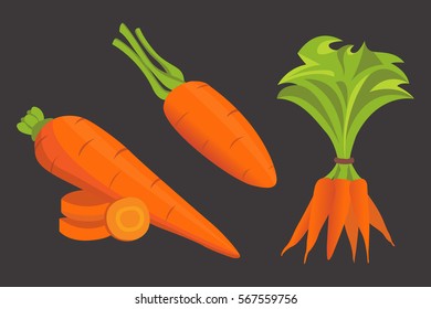 Set carrot vector illustration. Sliced 