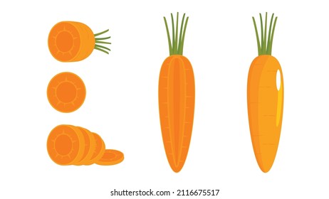 Set the carrot vector, sliced and whole carrots. Fresh cartoon vegetables are isolated on a white background. Illustrations are used for magazines, books, posters, cards, menu covers, etc.