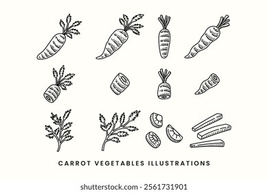 set of carrot vegetables line art style vector. a engraving illustration of fresh carrots, whole and slices collection. element design of fresh, whole and slices carrot vegetables hand drawing 