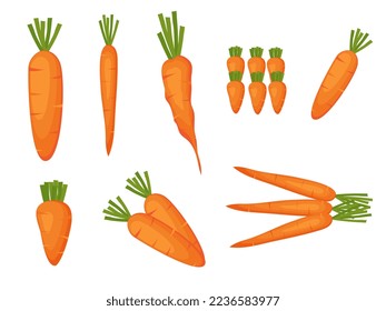 Set of carrots of different style and size on a white background