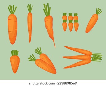 Conjunto de zanahorias de diferente estilo y tamaño sobre un fondo verde