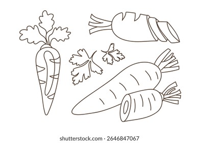 Set of carrots including whole root, slices and leaves in simple lineart style for coloring page isolated on white background