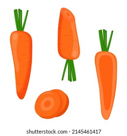 Set of carrots isolated on white background. Flat vector illustration