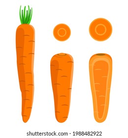 Set of Carrots With Leaves, Without Leaves, and Sliced Carrot Isolated On White Background