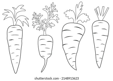 Set of carrots line art with leaves vector