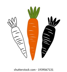 Set of carrots on a white background. Cute illustrations of vegetables for postcards, kitchen textiles, menus, restaurants. Thin line customizable illustration. Vector graphics.