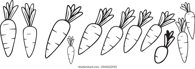 set of carrots, set of carrots in vector form.