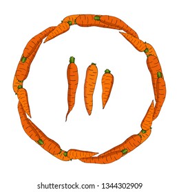 Set with carrots for your design. Fresh vegetables. Round frame and isolated elements on white background