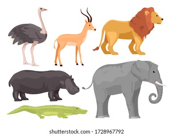 Set cartoon african animals vector illustration isolated on white background. Ostrich, gazelle, lion, hippo, elephant, crocodile. Safari or zoo concept.