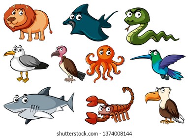 Set of cartoon animal character illustration