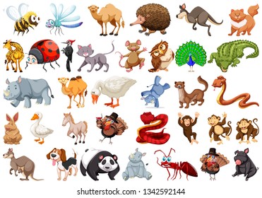 Set of cartoon animal illustration