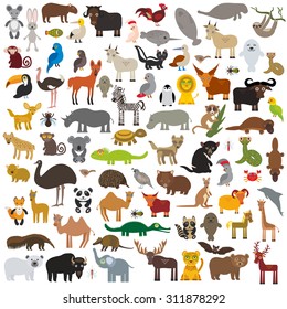 set Cartoon Animals from all over the world (Australia, North and South America, Eurasia, Africa)  isolated on white background. Vector