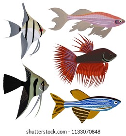 set of cartoon aquarium fish