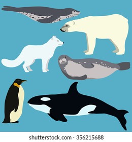 Set of cartoon arctic and antarctic animals. Vector illustration of polar bear, seal, arctic fox, penguin, leopard seal, killer whale.