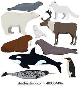 193,675 Polar animals Images, Stock Photos & Vectors | Shutterstock