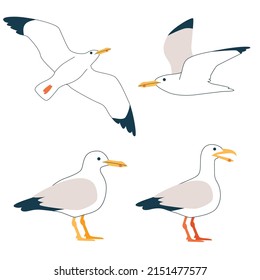 Set Of Cartoon Atlantic Seabird, Seagulls. Vector Flat Style