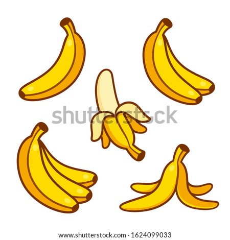 Set of cartoon banana drawings: single and bunch, peeled banana and empty peel on the ground. Vector clip art illustration collection.