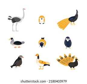 set of cartoon birds vector illustration