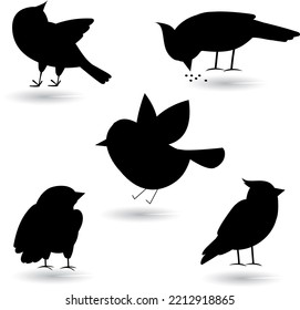 Set of Cartoon Birds vector silhouette on white Background 