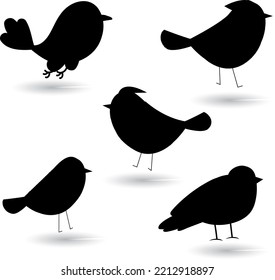 
Conjunto de silueta vectorial de Aves de Caricatura sobre fondo blanco 